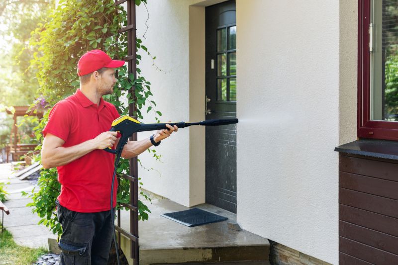 Soft Powerwashing Service detail